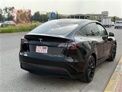 تسلا موديل Y